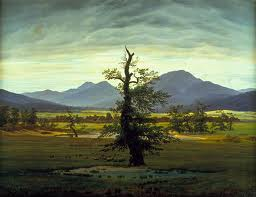 Friedrich